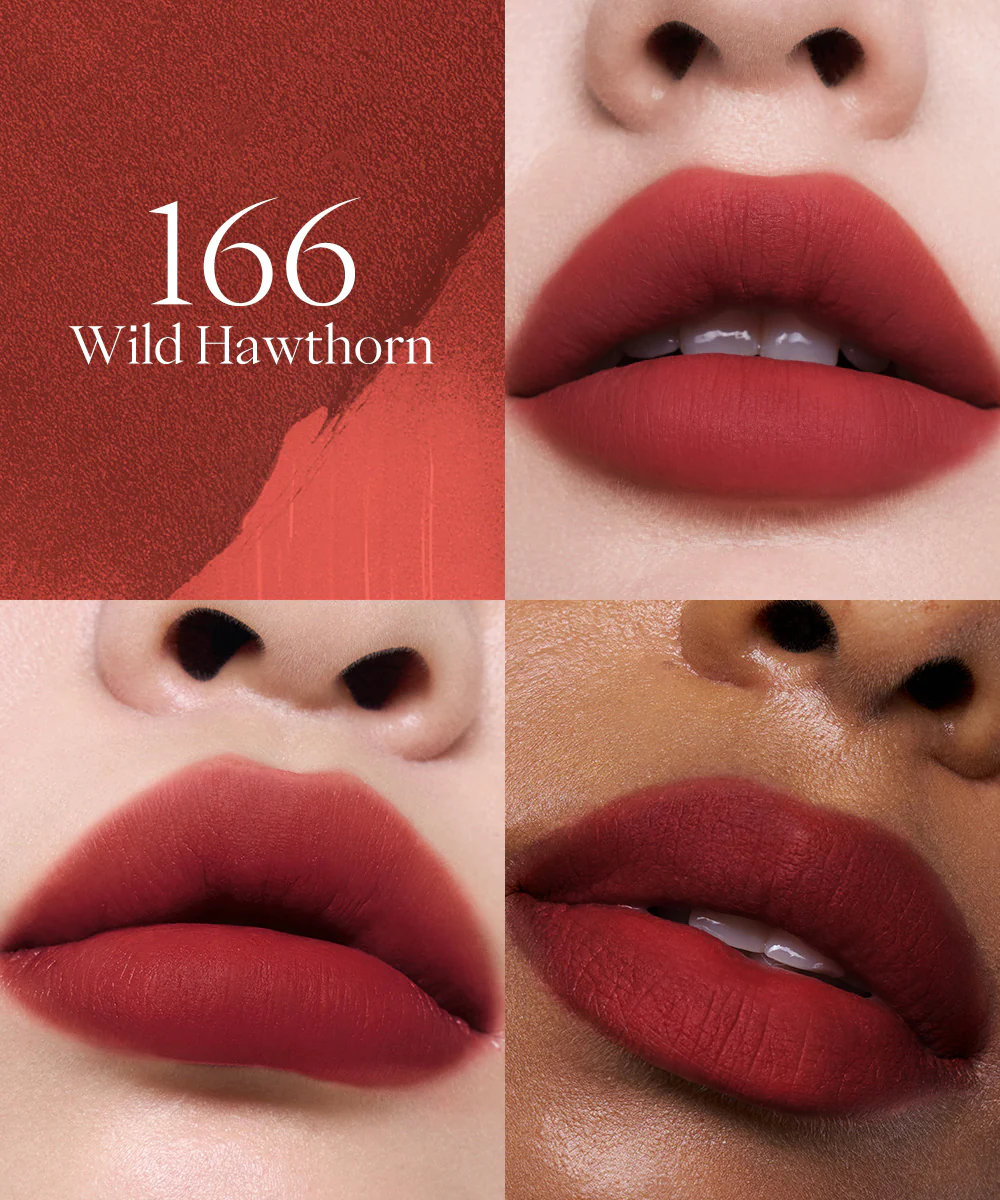 Thumbnail 25
